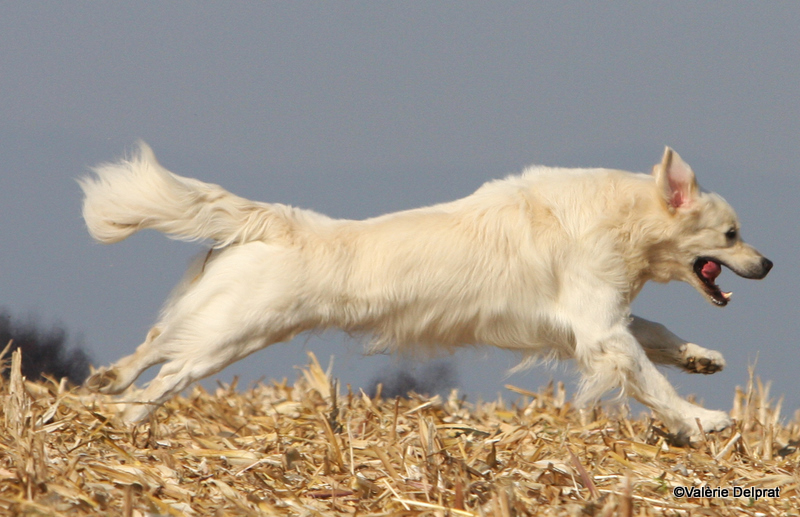 Field Erstein 09 (121).JPG